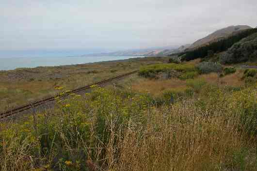 045vers Kaikoura.JPG (reduit)